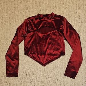 Almost Famous Burgundy Crop Top